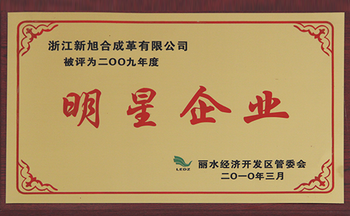 2010明星企業(yè)