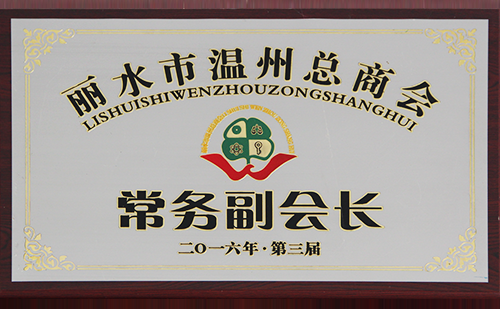 2016麗水溫州總商會常務(wù)副會長